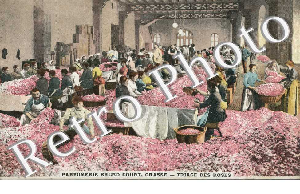 Parfumerie Bruno Court - Triage des Roses
