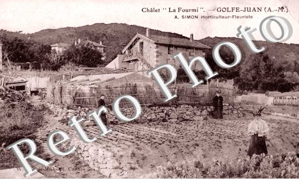 Chalet la Fourmi
