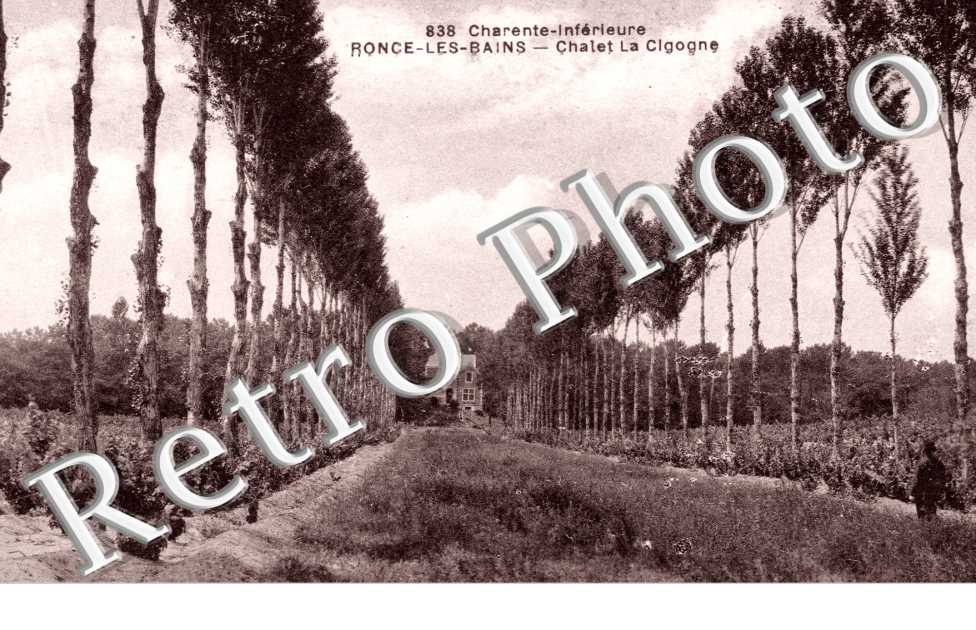 Chalet la Cigogne