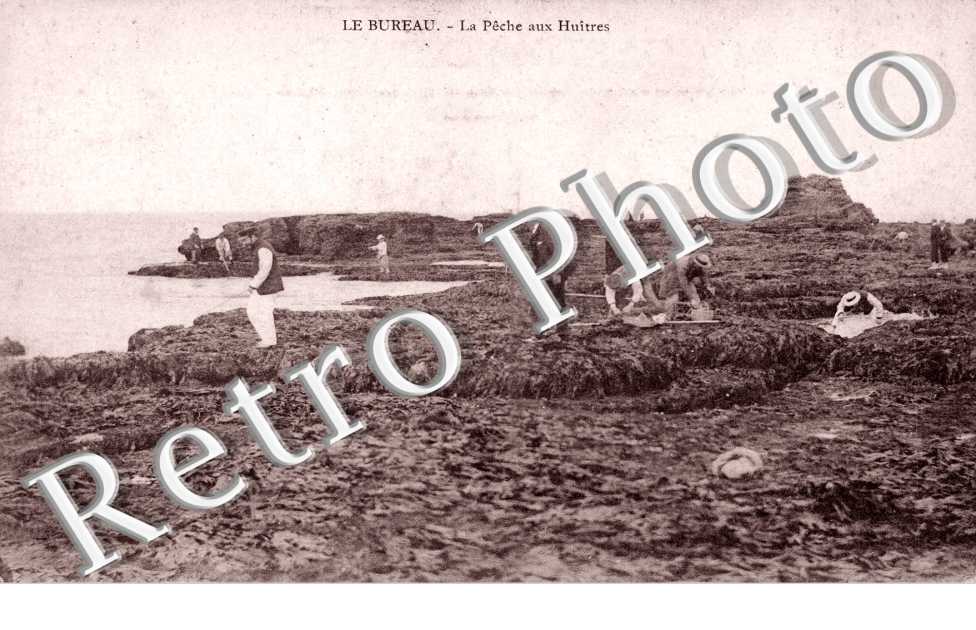 La Peche aux Huitres