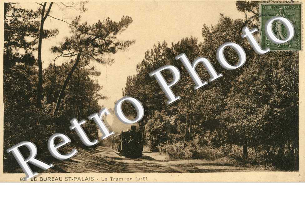 Le Tram en Foret