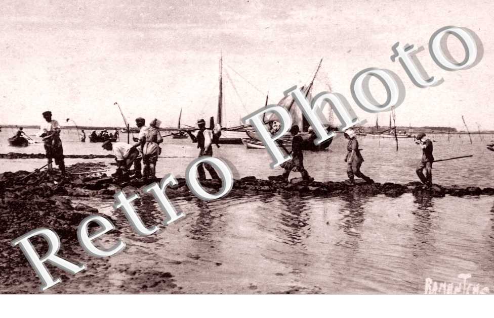 Peche des Huitres