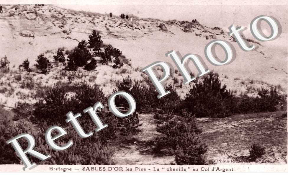 La Chenille au Col d'Argent