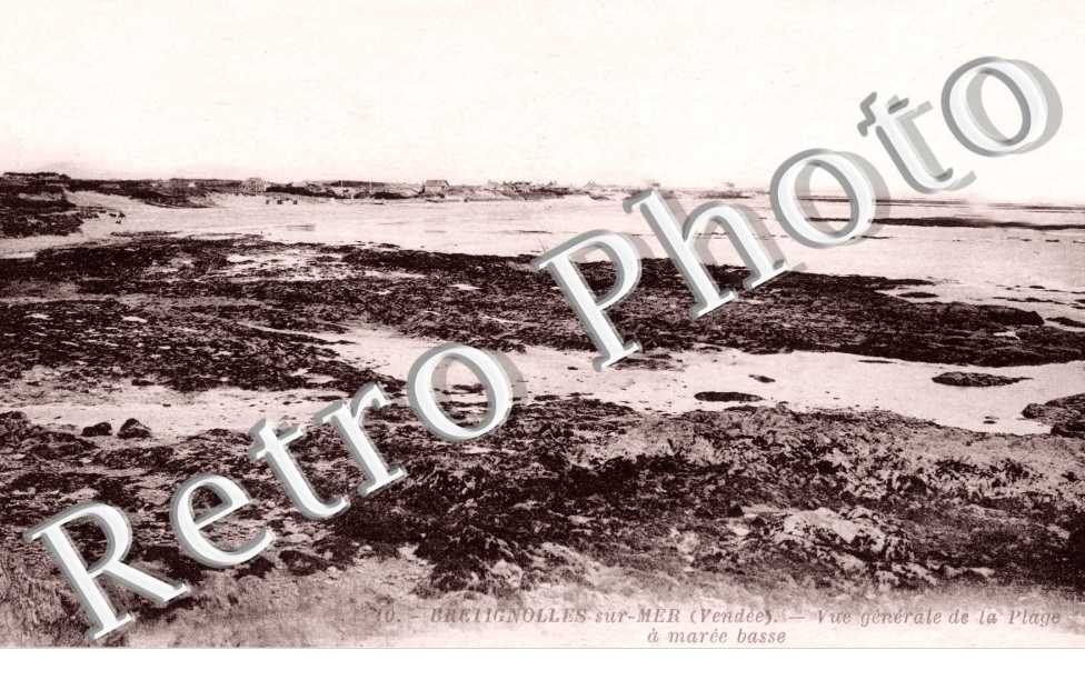 Vue générale de la Plage