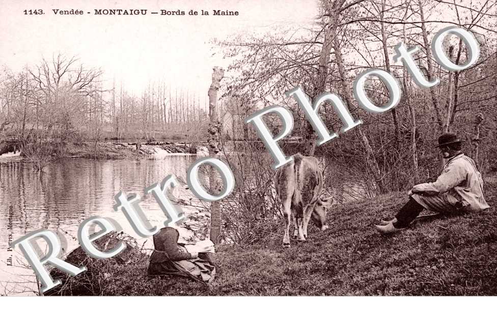 Bords de la Maine