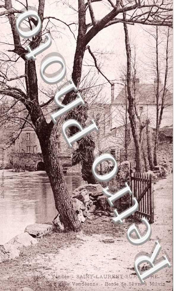 Bord de Sevre