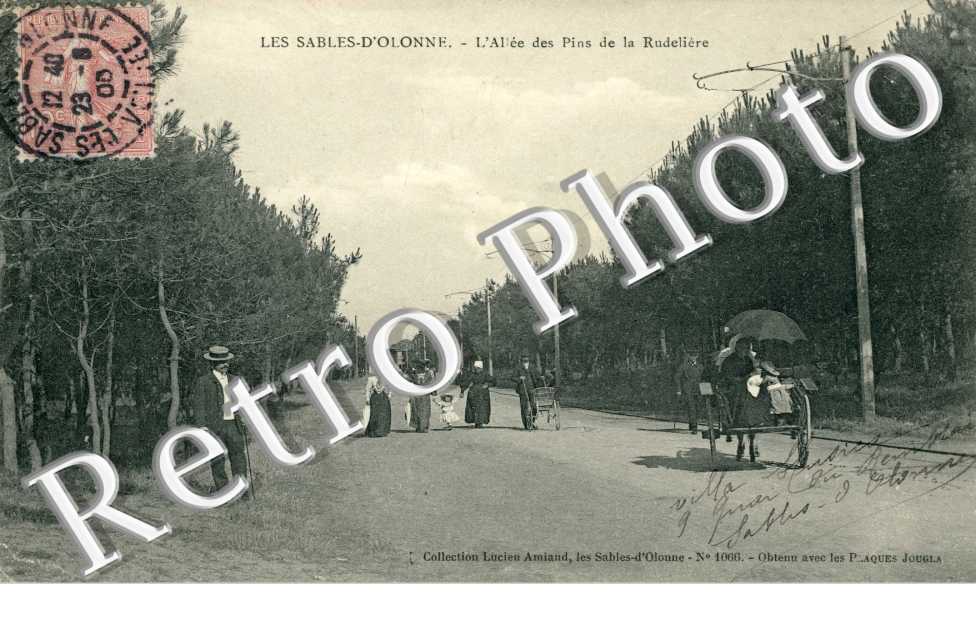 L'Allee des Pins