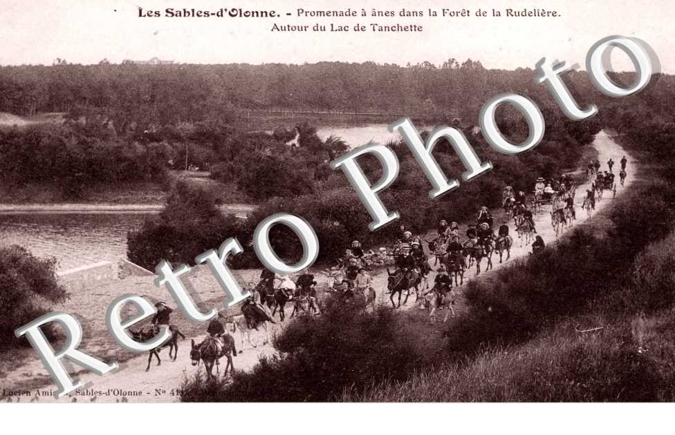 Promenade a Anes dans la foret de la Rudeliere