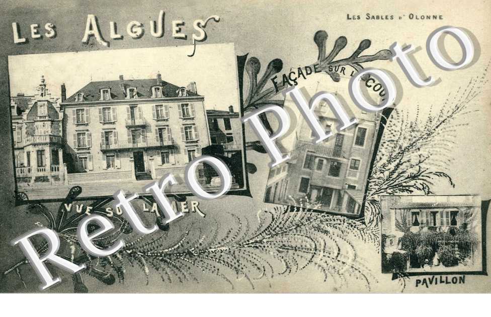 Les Algues. Vue sur la Mer