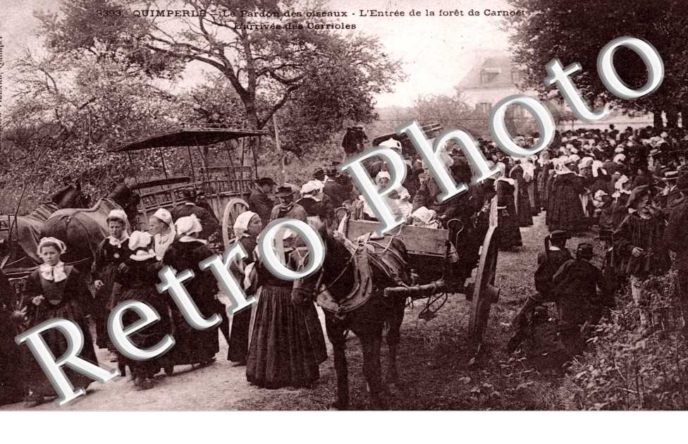 Le Pardon des oiseaux - Arrivee des Carrioles