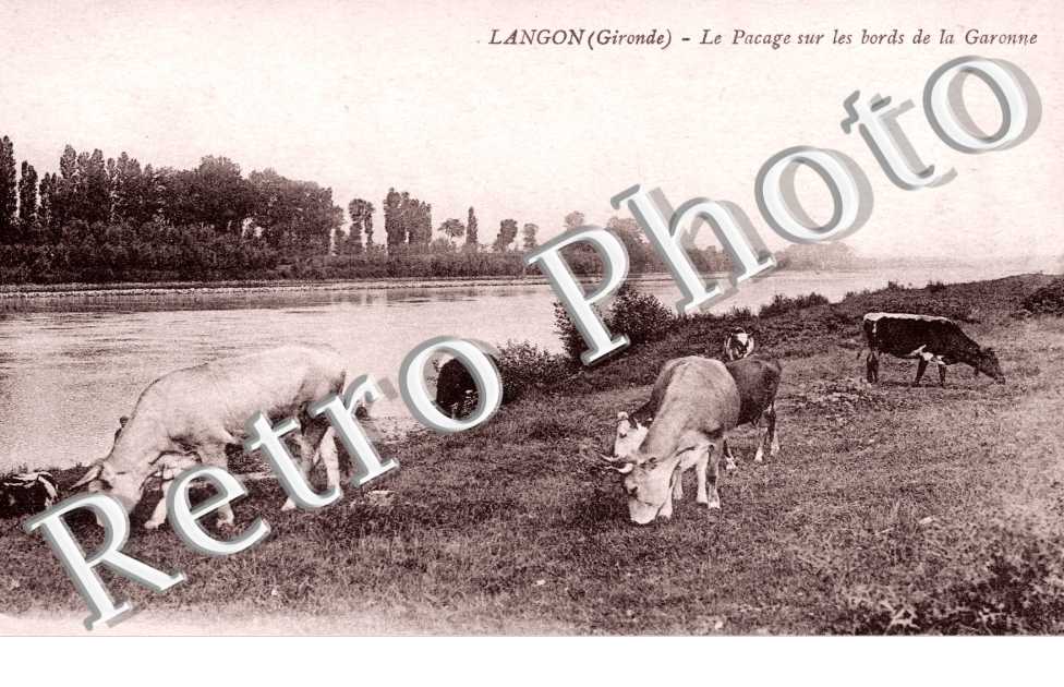 Le Pacage sur les Bords de la Garonne