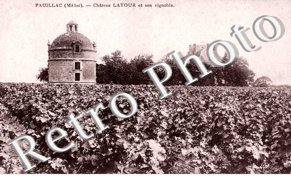 Chateau Latour et son Vignoble