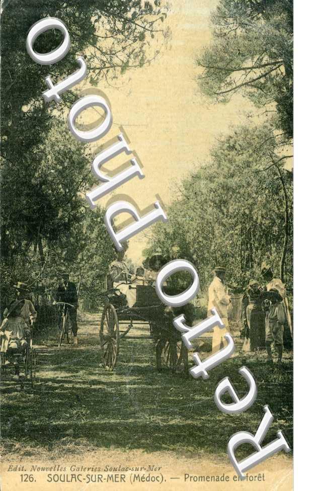 Promenade en Foret