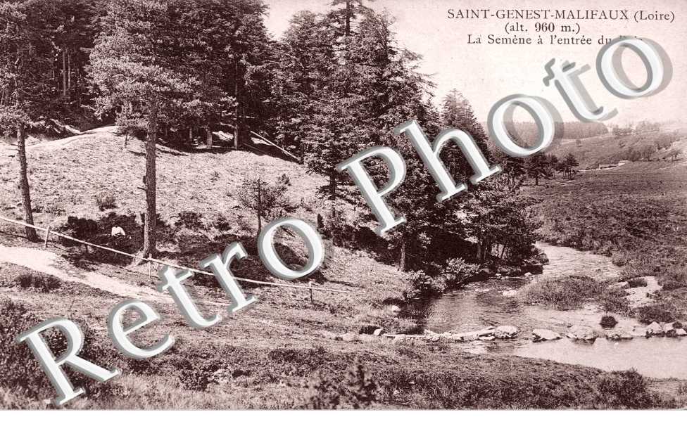 La Semene a l'entree du bois