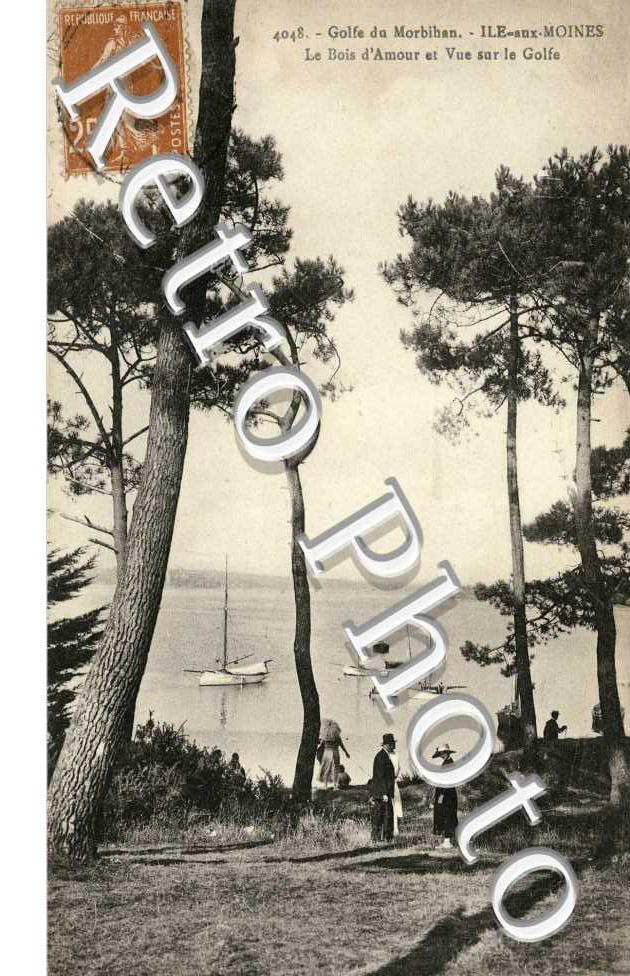 Le Bois d'Amour et vue sur le Golfe