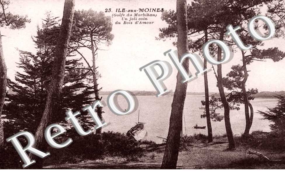 Un Joli coin du Bois d'Amour