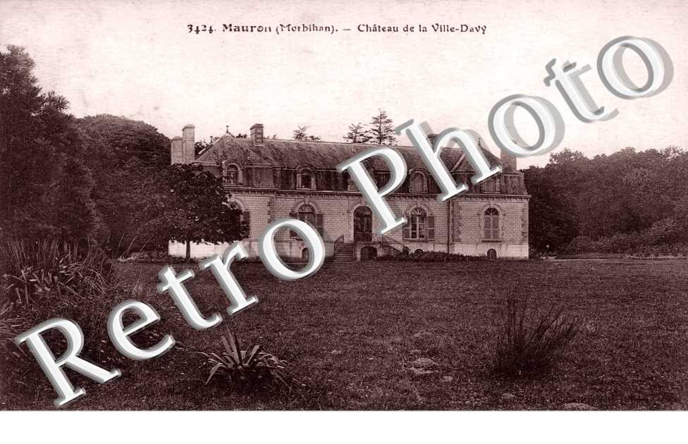Chateau de Ville Davy