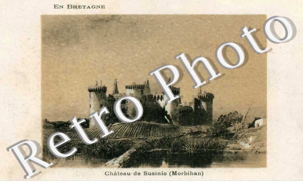 Chateau de Susinio
