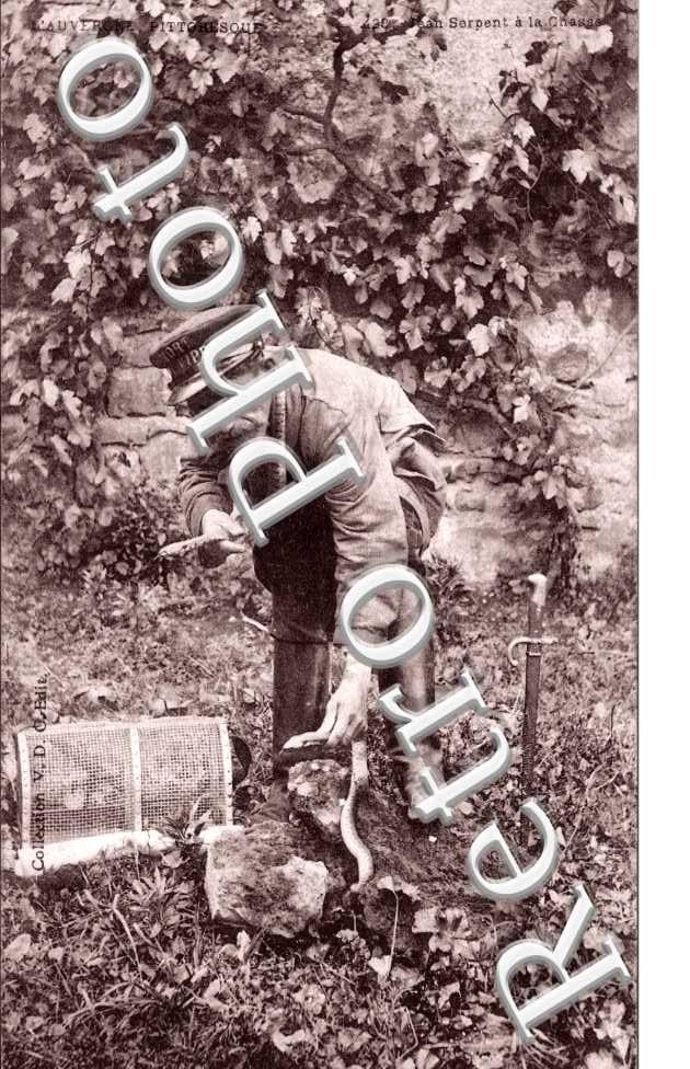 Jean Serpent la chasse