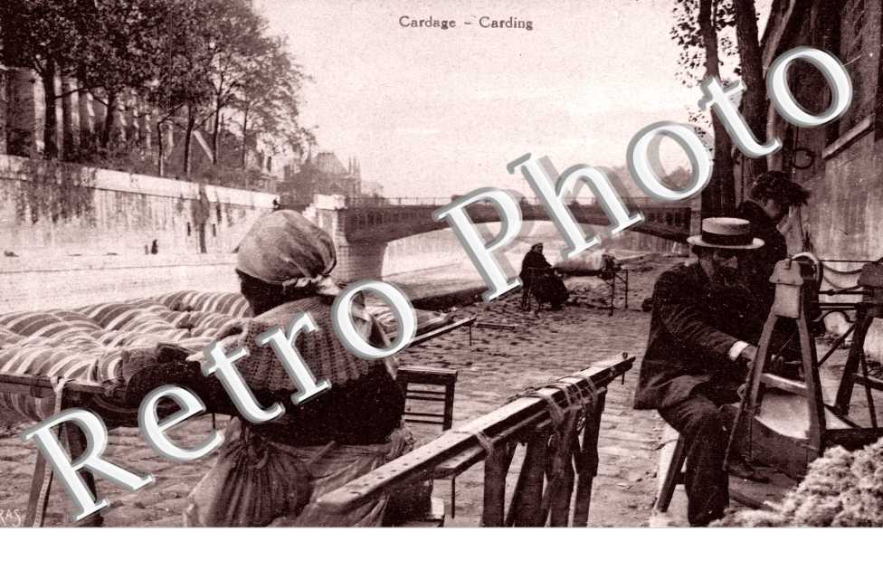 Cardage le long de la Seine