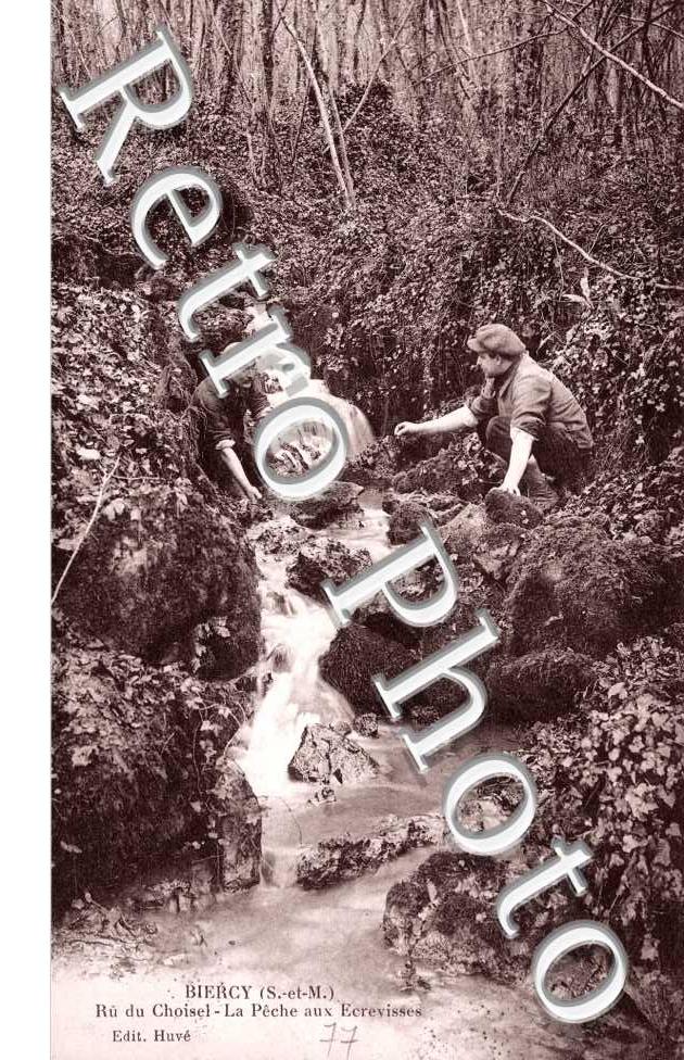 Biercy  Ru du Choisel  La peche aux ecrevisses