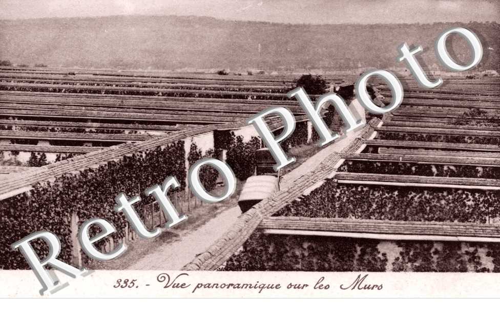vue panoramique sur les murs