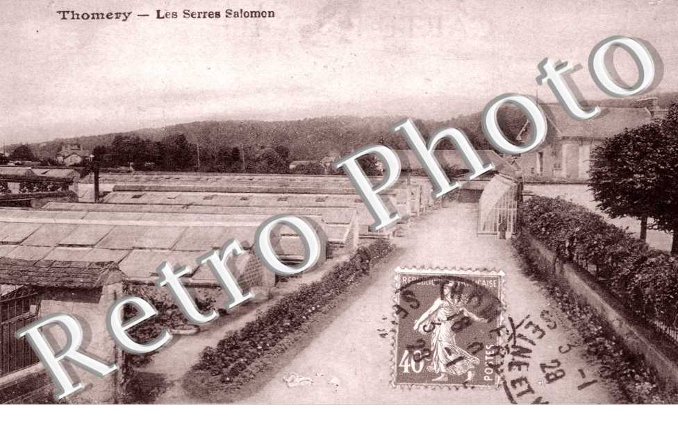 les serres Salomon