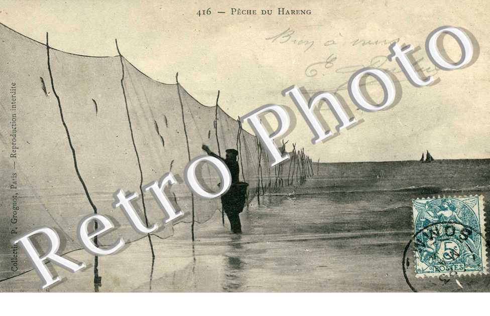 Pêche du hareng