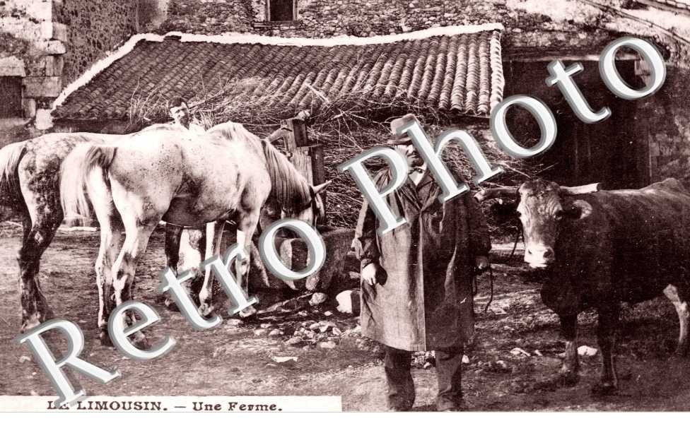 une ferme