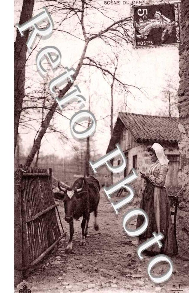 cour de ferme