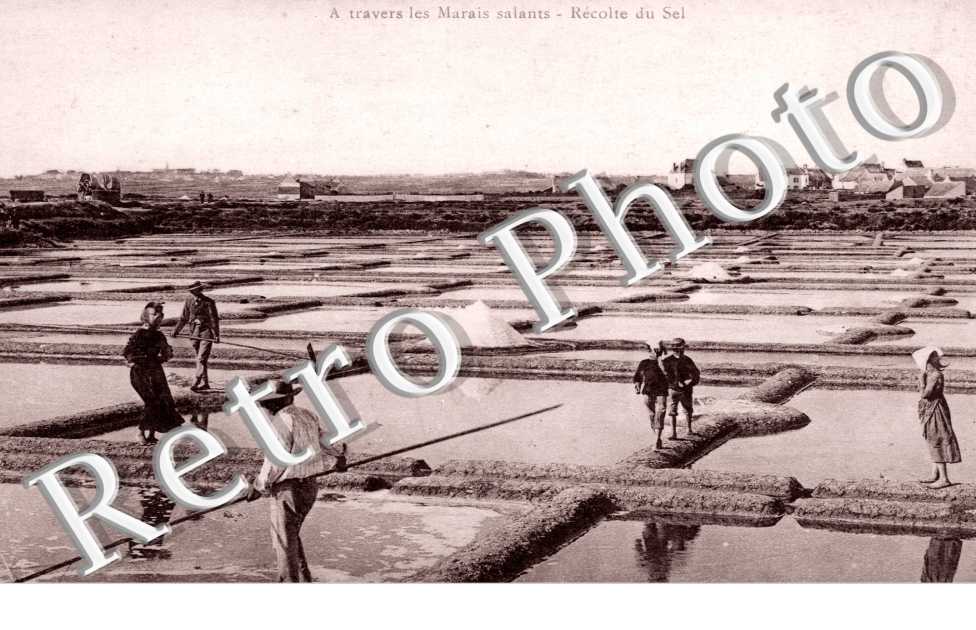 a travers les marais salants Recolte du sel