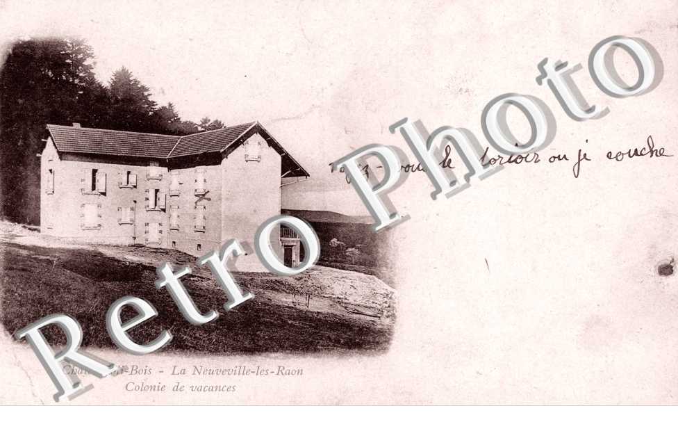 Chalet Joli-Bois La Leuveville les Raon  Colonie de vacances