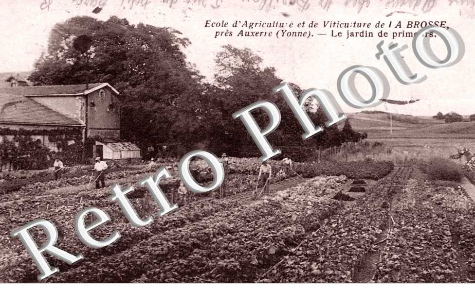 ecole d'agriculture et de viticulture de La Brosse Le jardin des primeurs