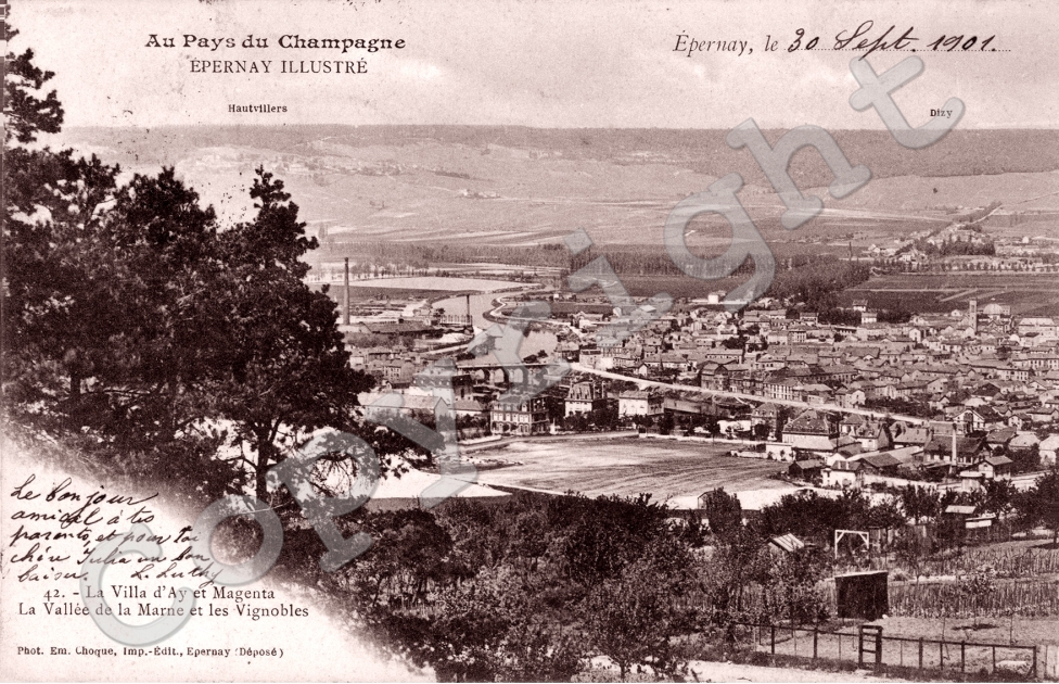 La Vallee de la Marne et les vignobles