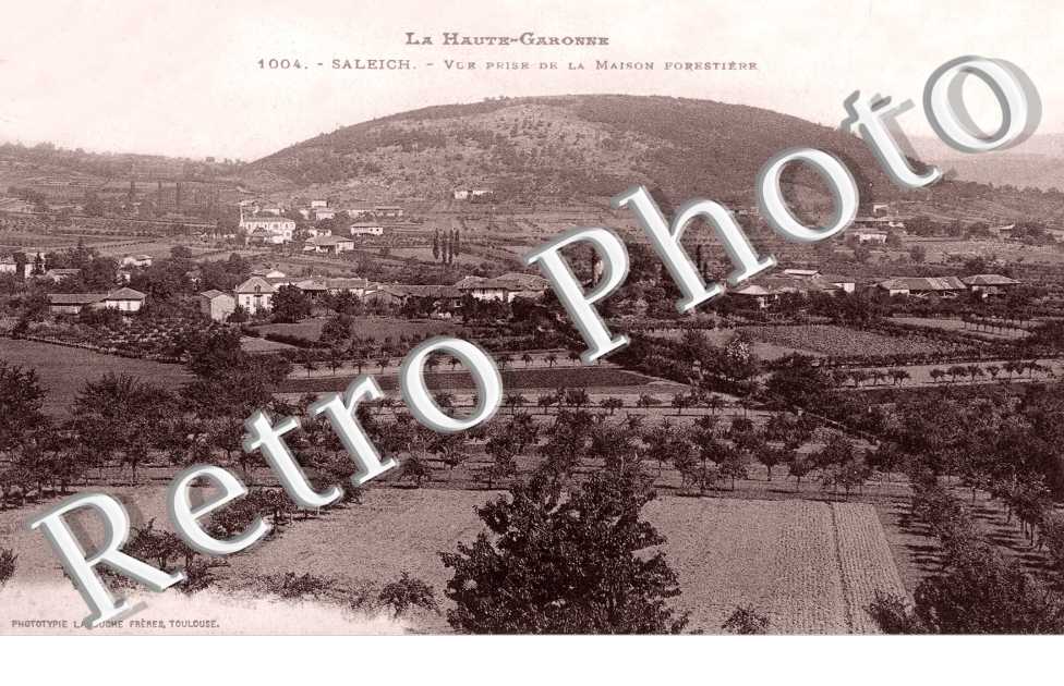 vue prise de la maison forestiere