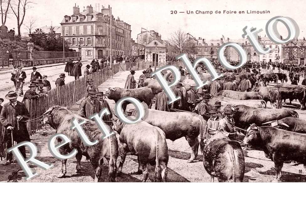un champ de foire en Limousin