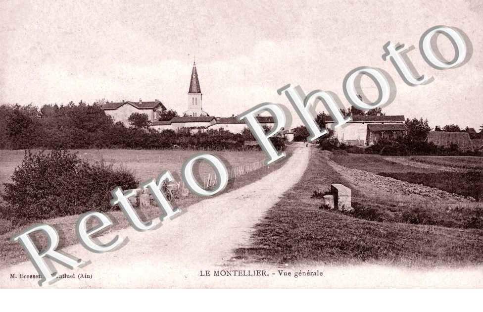 Vue generale