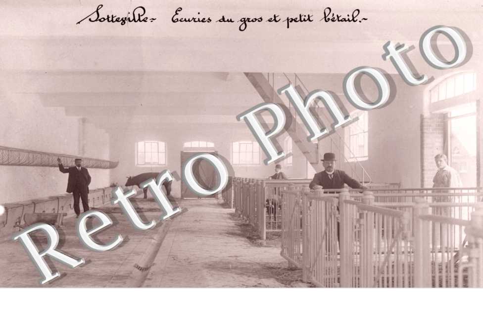 Ecuries du gros et petit betail