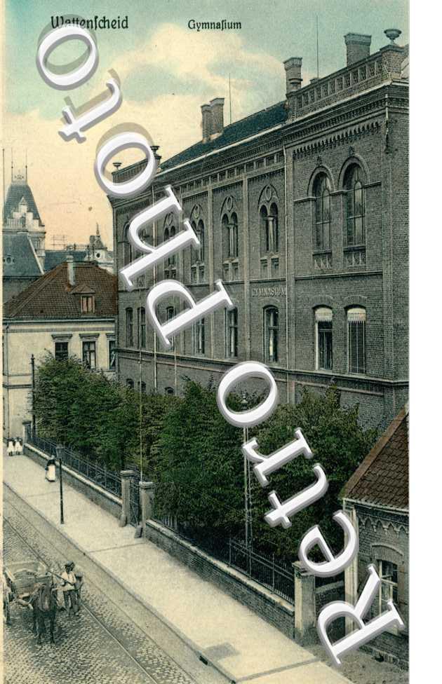 Gymnasium