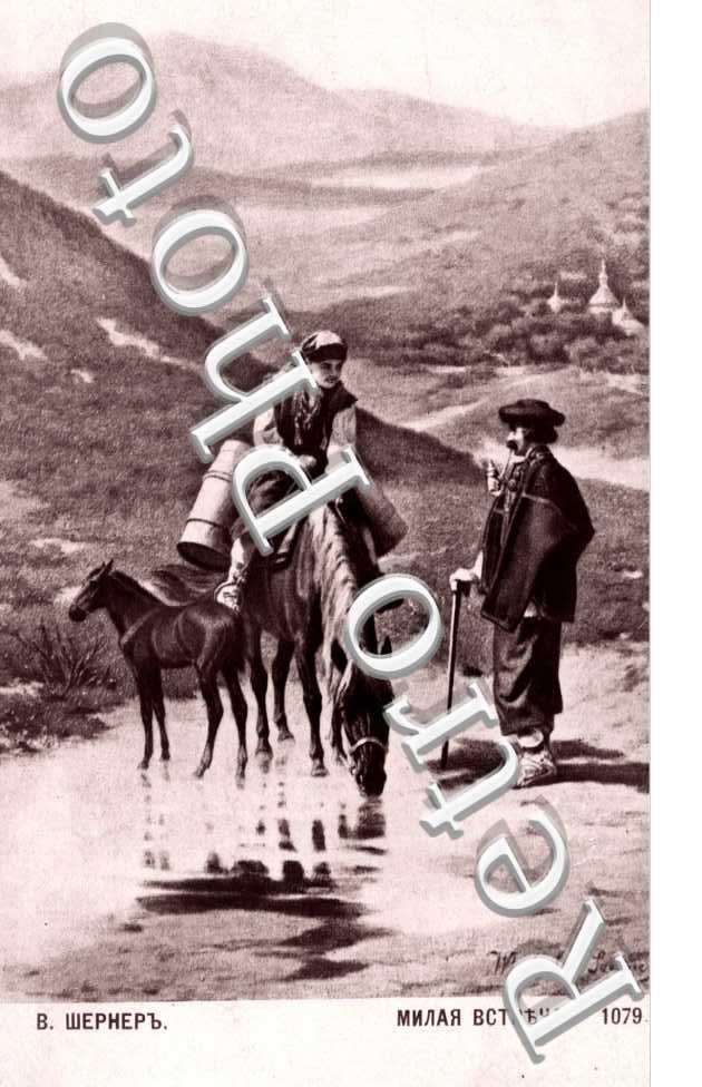 Homme cheval dans un cours d'eau