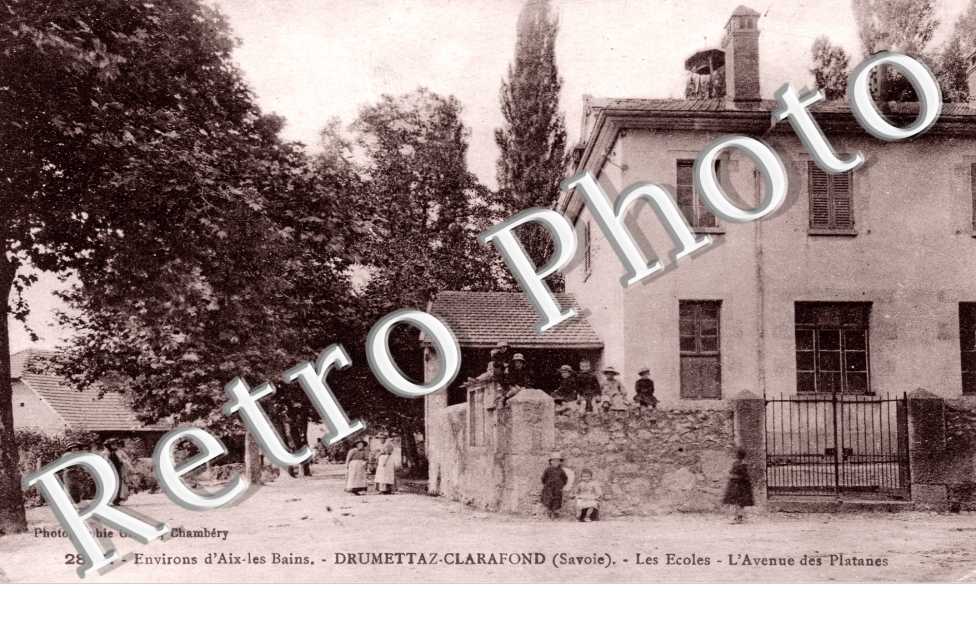 Les Ecoles - l'Avenue des platanes
