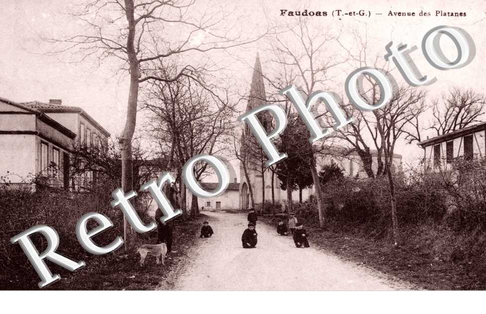 Avenue des Platanes