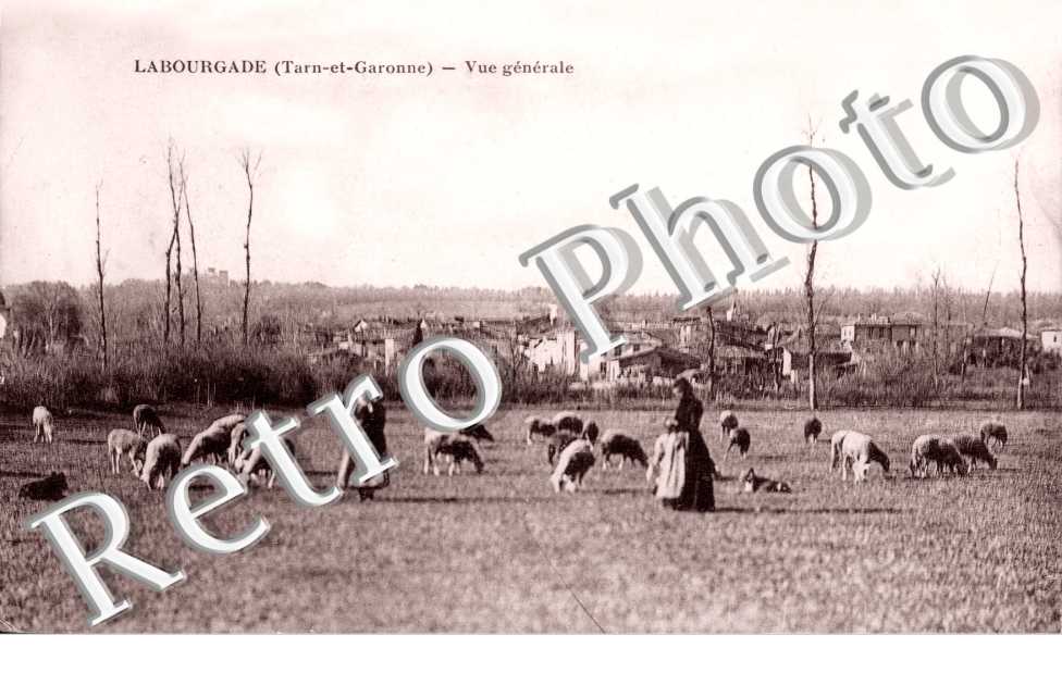 Vue generale