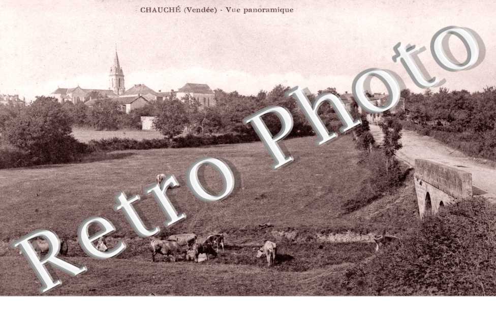 vue panoramique