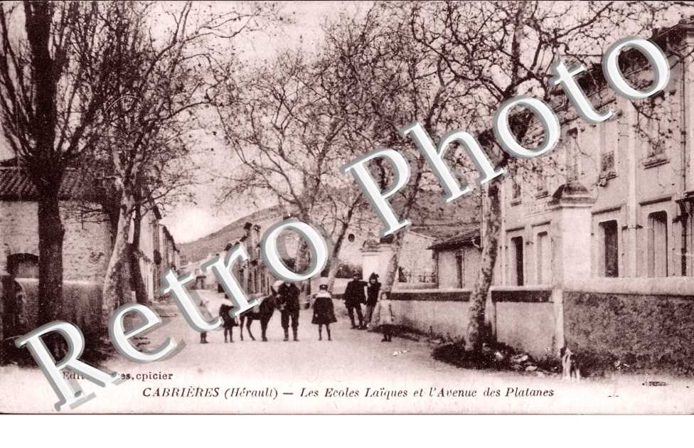 Les ecoles laiques et l'avenue des platanes