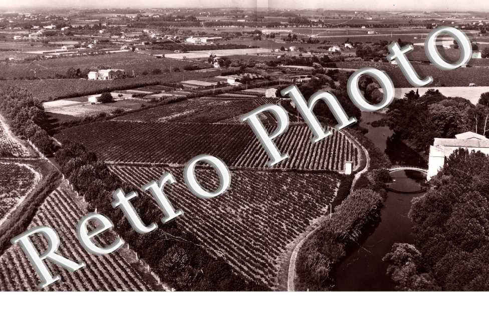 la Plaine alluviale de Lattes Aout 1957