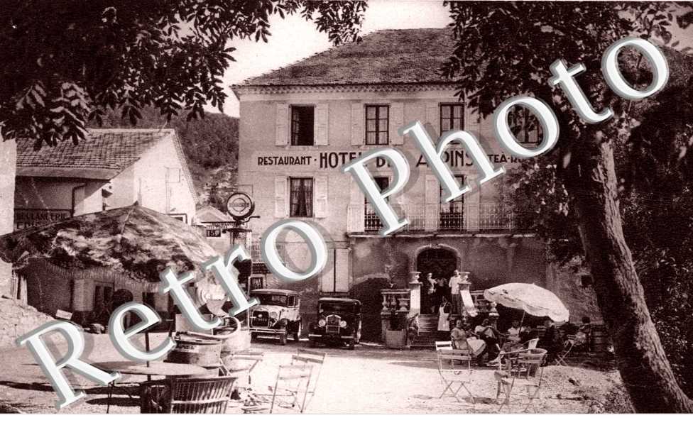 Hotel des Alpins