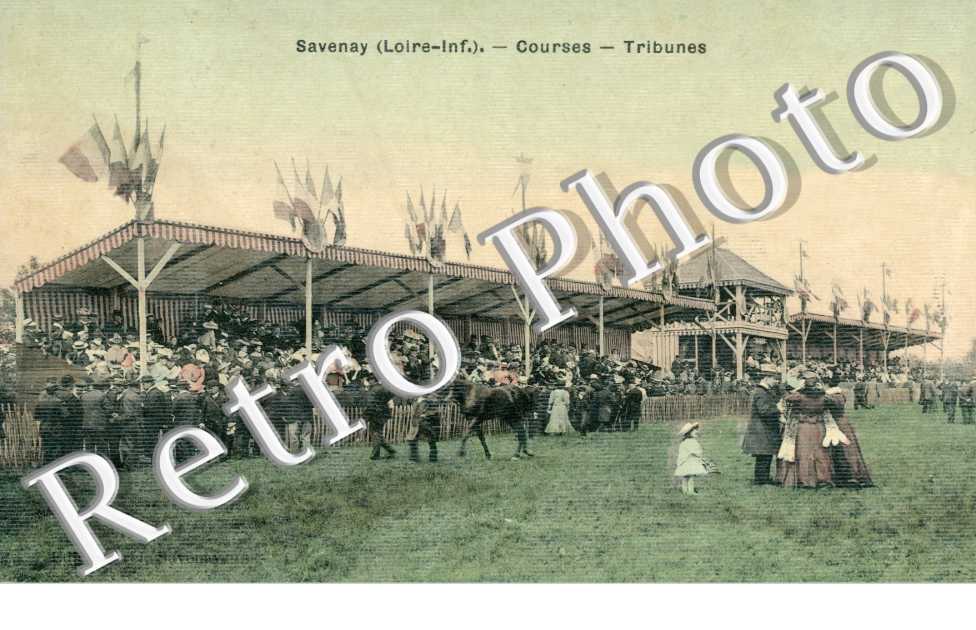 courses tribunes