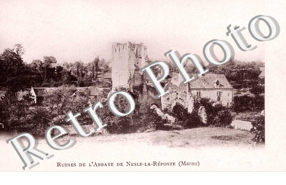 Ruines de l'Abbaye