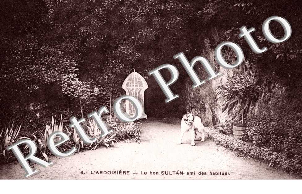l'Ardoisière Le bon sultan ami des habitués